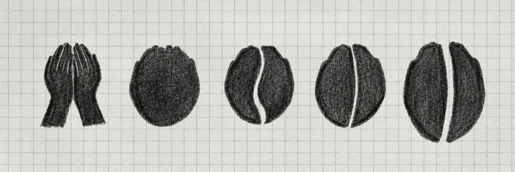 Hand-drawn sequence on graph paper: two cupped hands resolving step by step into a coffee bean